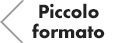 Piccolo formato